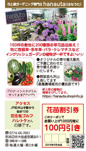 hanauta