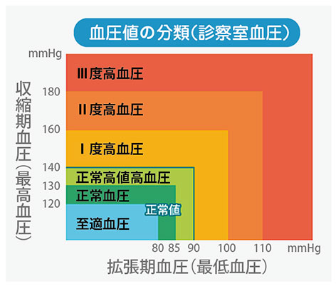 期 血圧 拡張 循環器系の老化